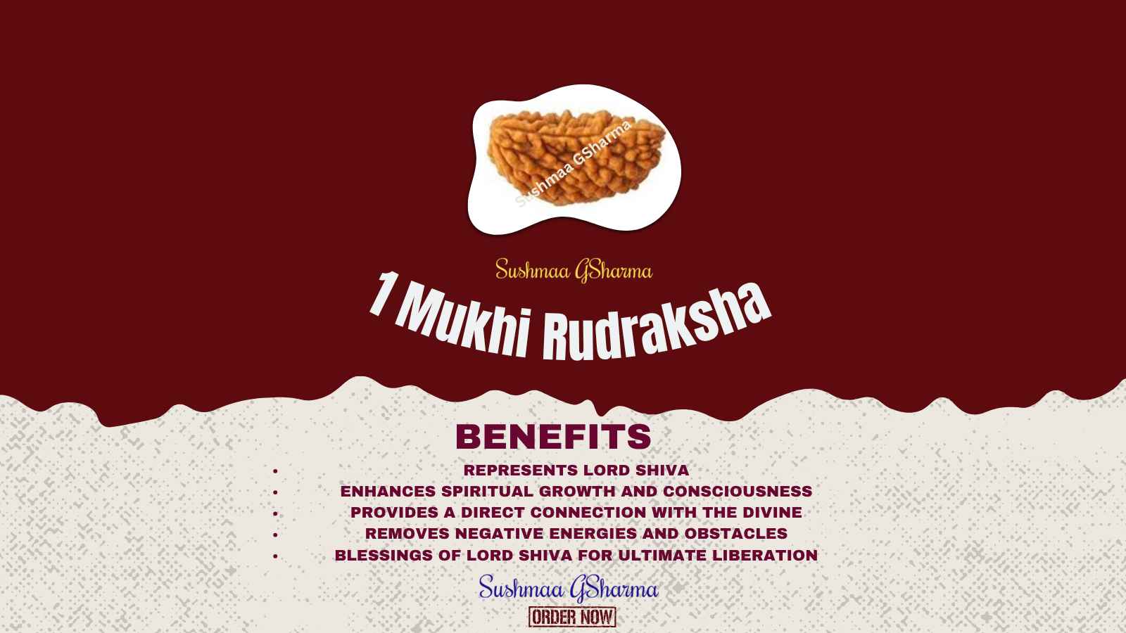 🔷 1 Mukhi Rudraksha – The Divine Eye of Shiva (TYPE : KAJU DANA MOTA)