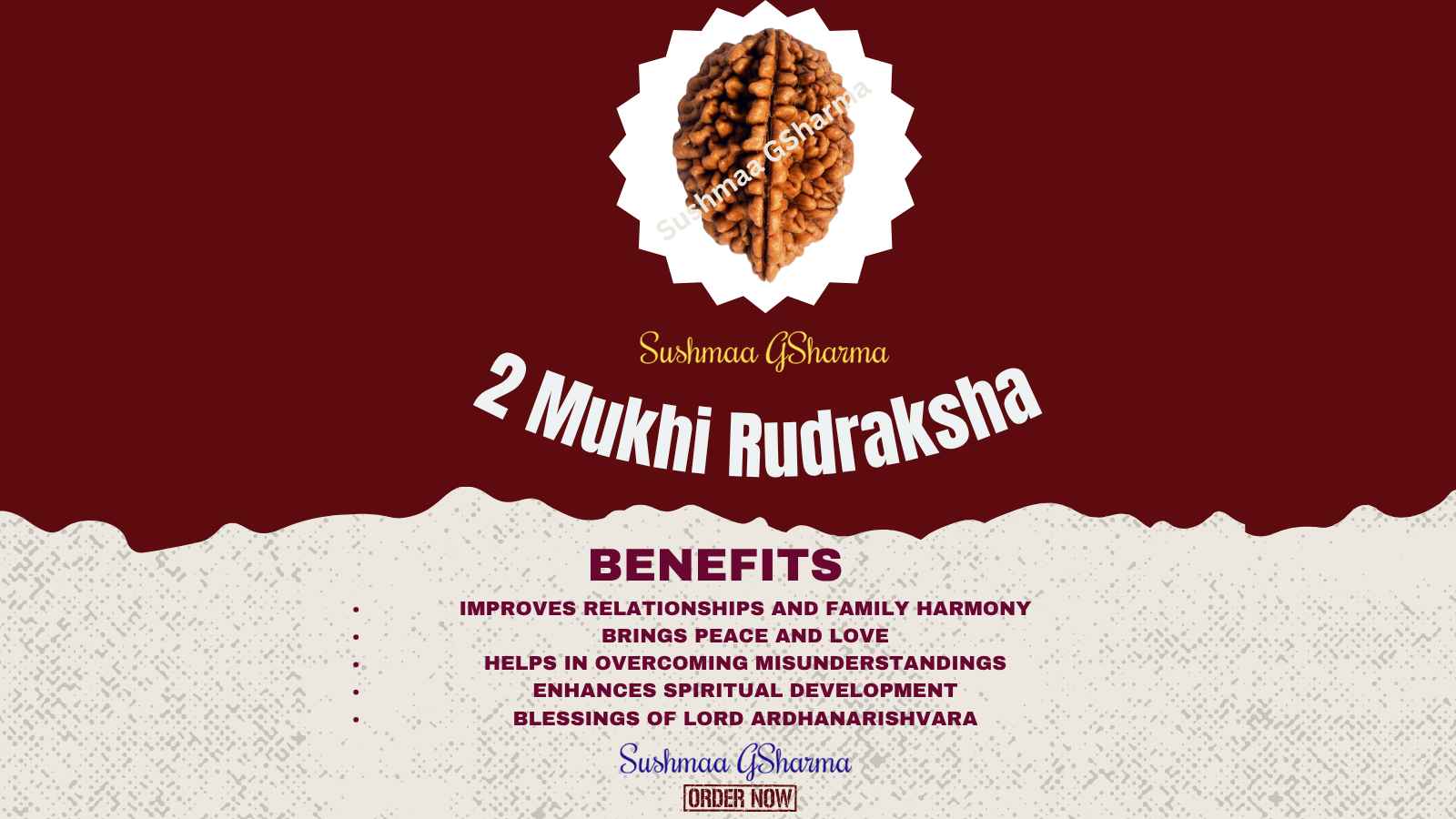🔷 2 Mukhi Rudraksha – The Bond of Unity (TYPE:NORTH INDIAN)