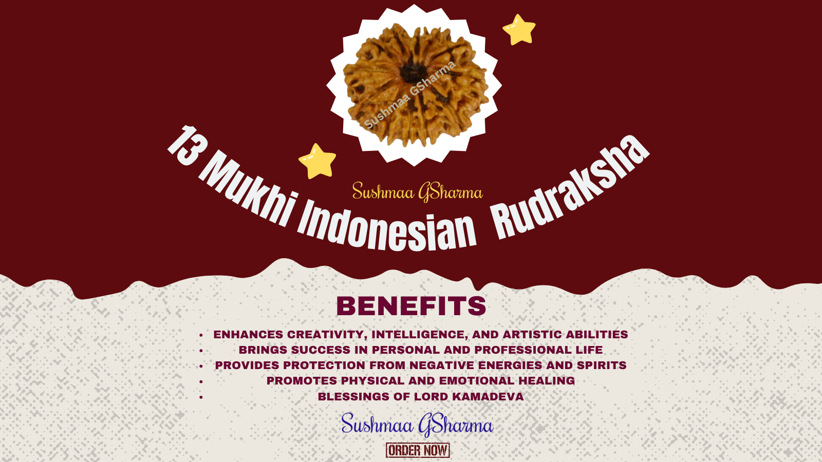 13 Mukhi Rudraksha  (Indonesian)