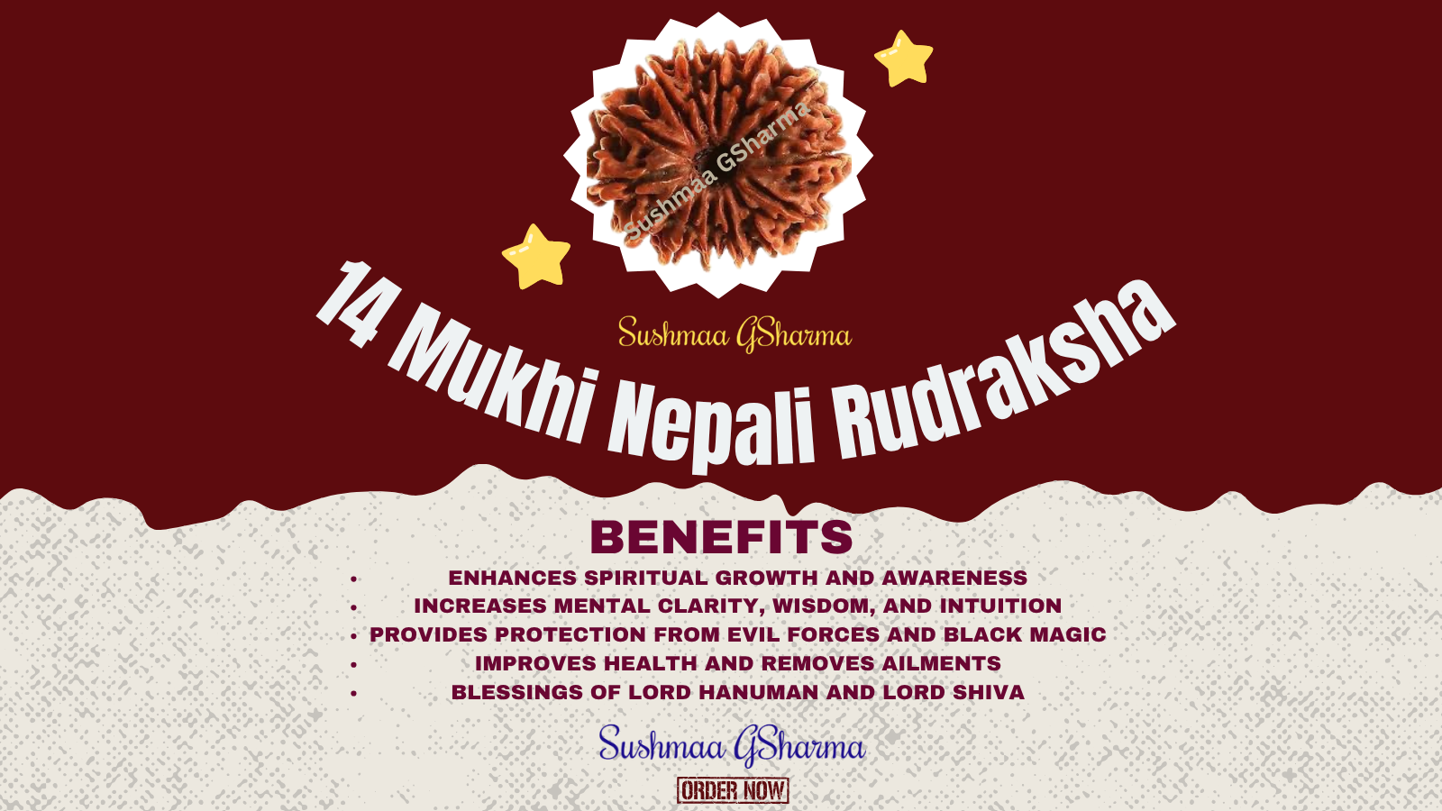 14 Mukhi Rudraksha (Nepali)