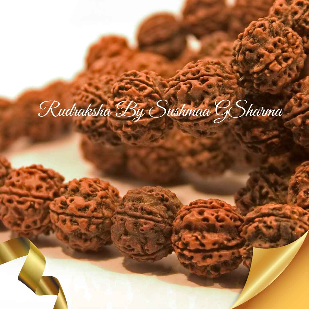 RUDRAKSHA