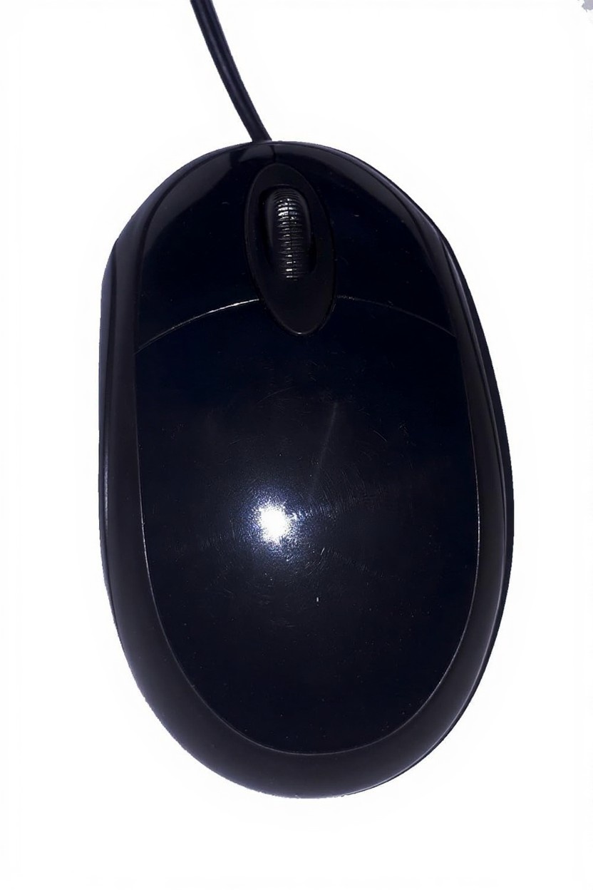 Xcess55 Mouse