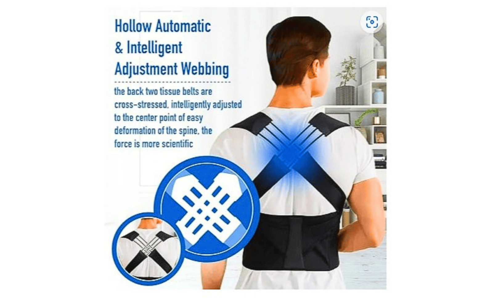 Posture Belt