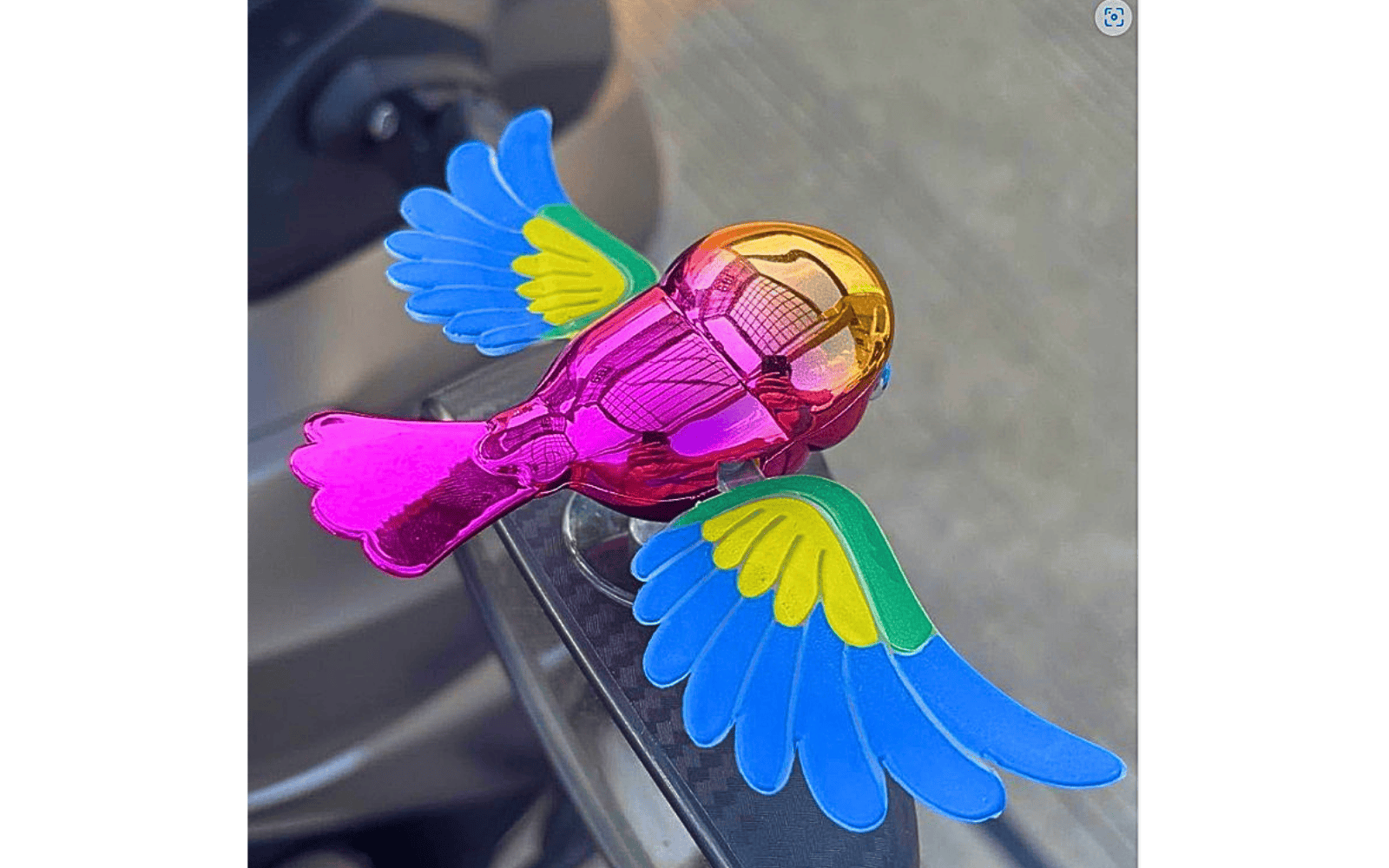 car flying bird