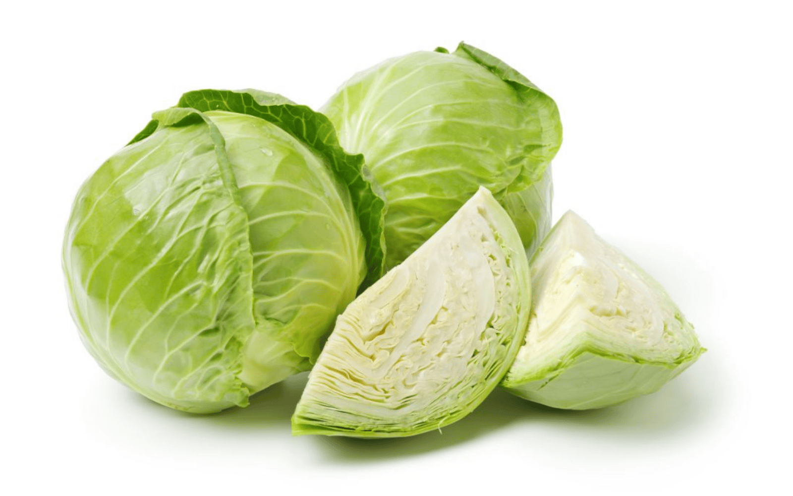 Cabbage