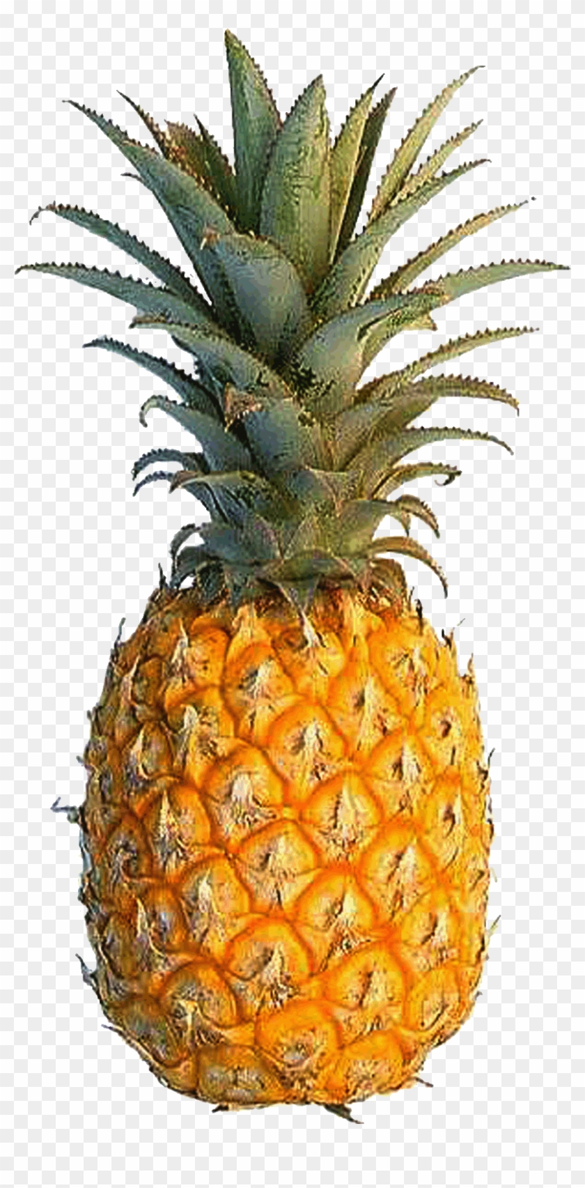 Pineapple