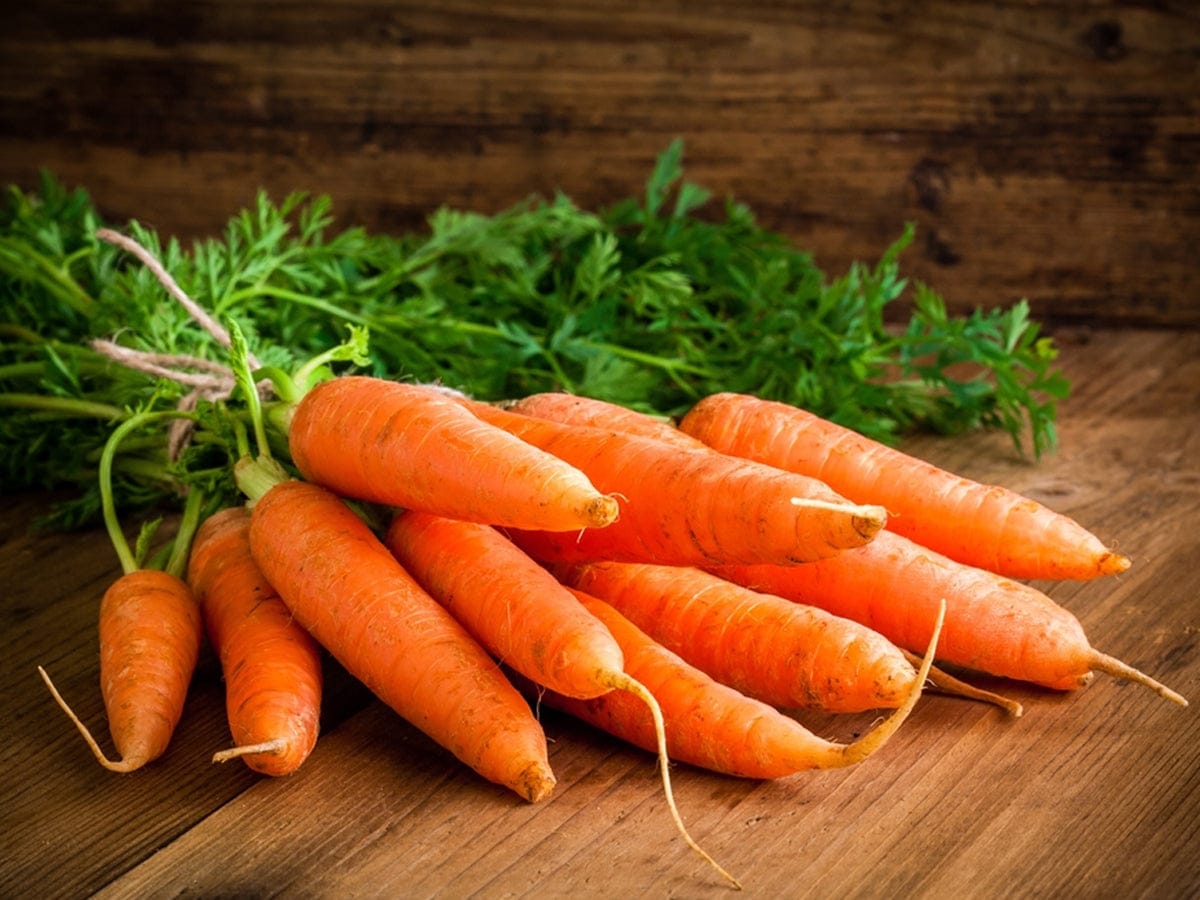 Carrot🥕