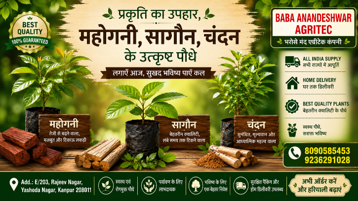 Baba Anandeshwar Agritec Agricultural Organization